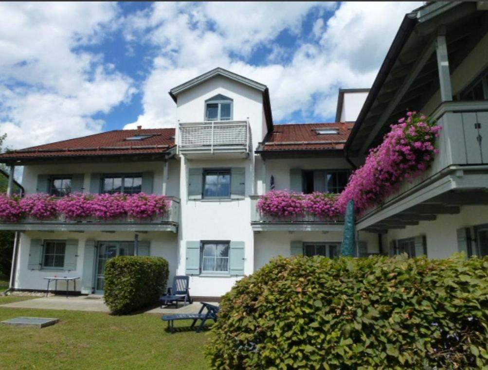 Ferienwohnanlage Bruennstein Wohnung 54 Oberaudorf Exterior photo